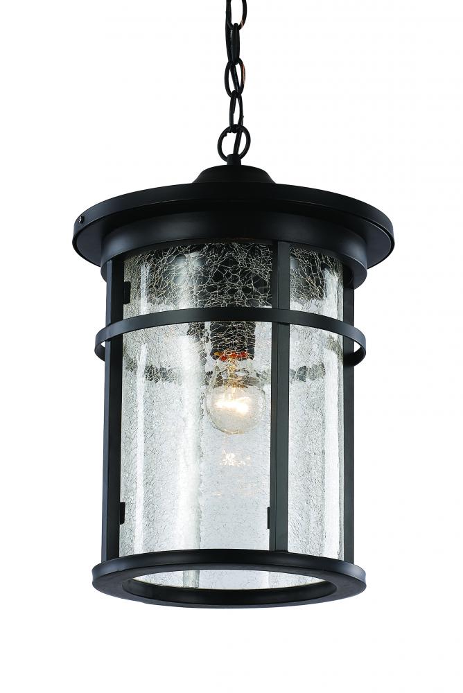 1LT HANGING LANTERN-LG-SEEDED